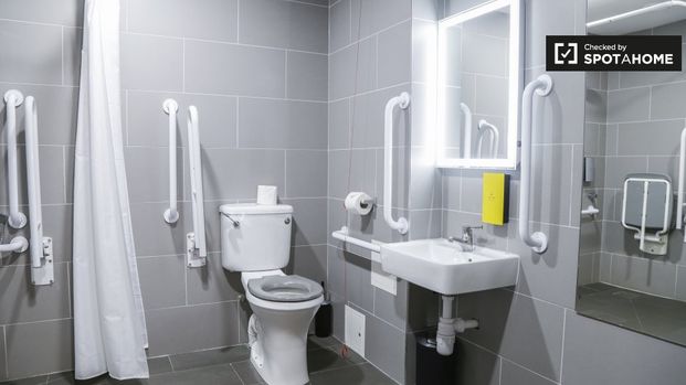 Serviced studio apartment for rent in The Liberties, Dublin - Photo 1