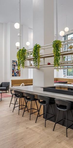 Complexe haut de gamme Le Wow à Sainte-Foy - Condo / appartement / logement à louer - Photo 1