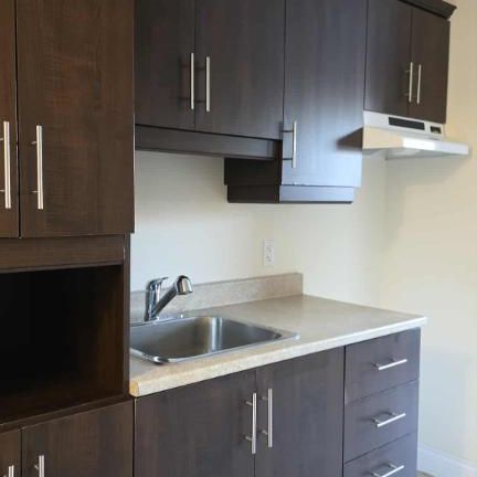 2 1/2 avec balcon secteur en demande - Photo 1