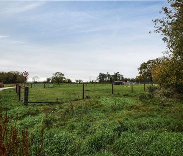 3 bedroom house to rent - Photo 6