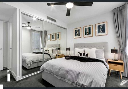 17/16 Elouera Street, Braddon ACT 2612 - Apartment For Rent | Domain - Photo 5