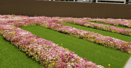 The International - Photo 4