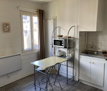 Location Appartement 1 pièce 19m² - Photo 4