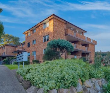 2/33 Burdett Street, Hornsby NSW 2077 - House For Rent | Domain - Photo 5