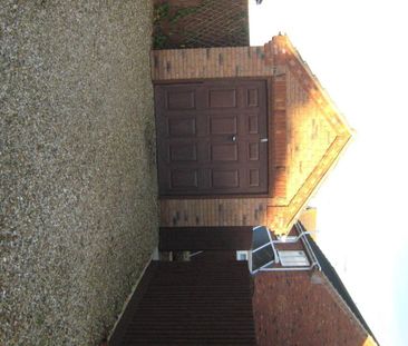 Tulip Fields - Photo 2