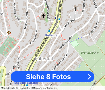 Sonnige 3 1/2 Zimmer-Wohnung mit 2 Balkonen - Foto 1