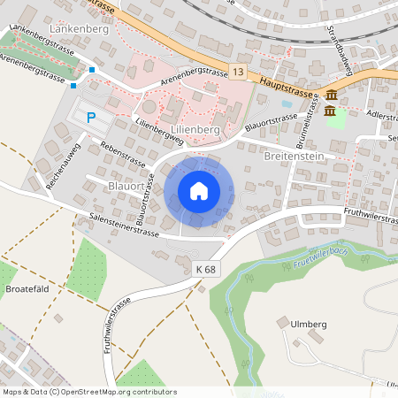 8272, Ermatingen, Salensteinerstrasse, 10d