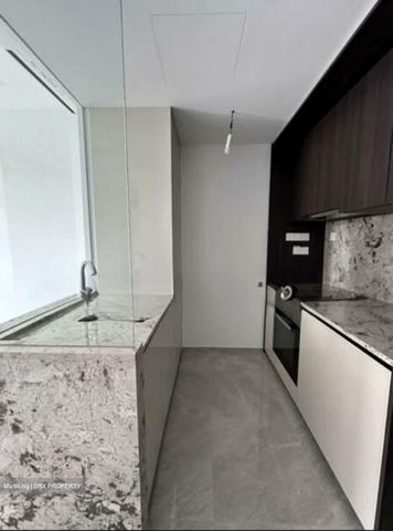 Tembusu Grand (D15), Condominium - For Rent - Photo 4