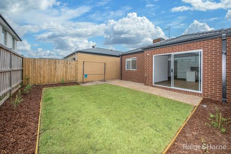 Brand New 3 Bedroom Home - Photo 3