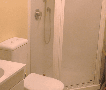 Lovely One-Bedroom in Popular Newtown - Photo 3