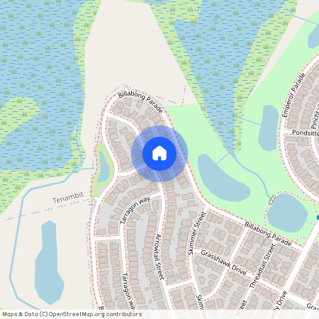 106 Arrowtail Street CHISHOLM, NSW 2322