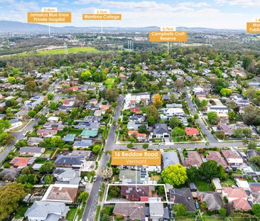 16 Beddoe Road, VERMONT, VIC - Photo 2