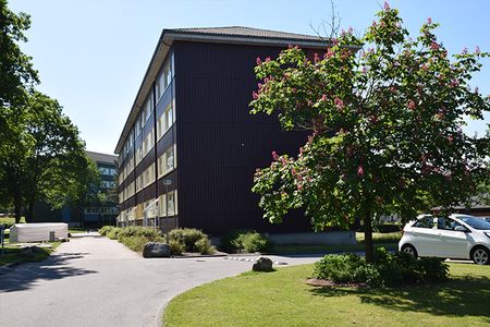 Afd. 29 Vangdalparken - Foto 2