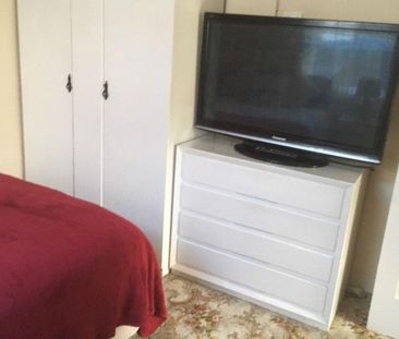 Move-In Ready Furnished Granny Flat Near UNSW - Photo 2
