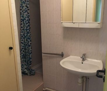 Location Appartement 1 pièce Meublé 30m² MONTPELLIER 34080 - Photo 6
