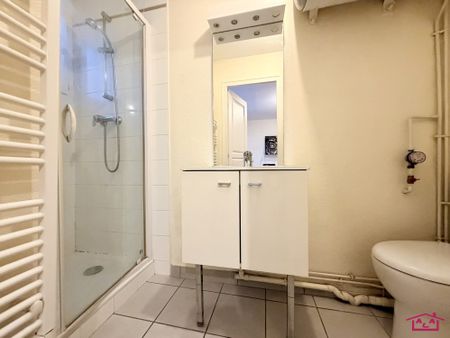 Location Appartement 1 pièce 29m² GRENOBLE 38100 - Photo 5