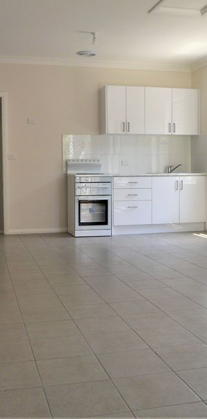 Spacious One Bedroom House Opposite Lambton Park - Photo 1