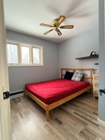 For Lease - 46 Elm Grove Avenue, Richmond Hill, Ontario - Photo 4