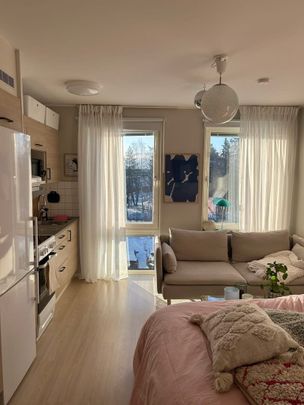 Tvistevägen, Umeå - Photo 1