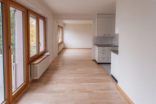 Naturgelegene Wohnung in Pfäffikon mieten - Photo 1