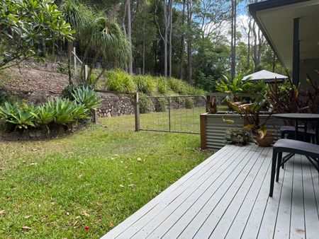 Yandina - Photo 4