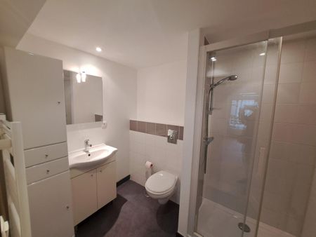 Location Appartement 1 pièce Meublé 25m² ANGERS 49100 - Photo 2