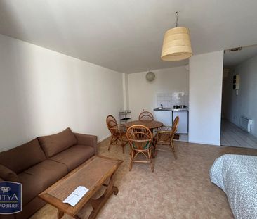 Location Appartement 1 pièce 30m² NANTES 44100 - Photo 3