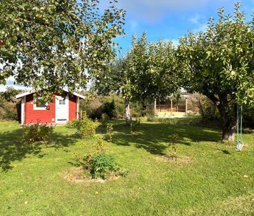 Grävlinge, Västerås - Photo 1