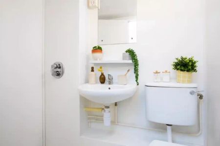 Large High Double Ensuite - Photo 4