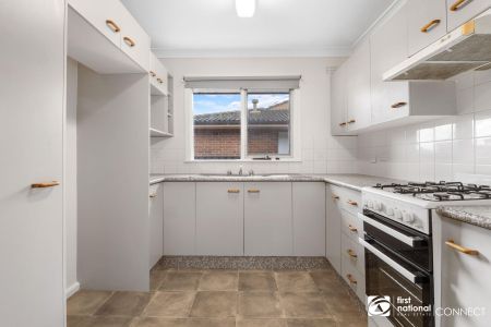 Fresh Carpet & Paint - Photo 3