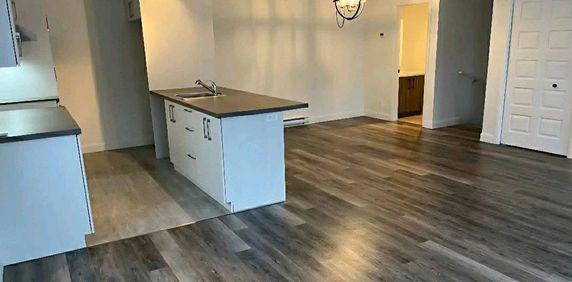 Condo sur 2 étages, (WIFI inclus) - Photo 2