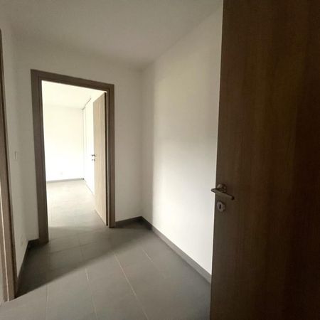 Location appartement à Furiani - Photo 4