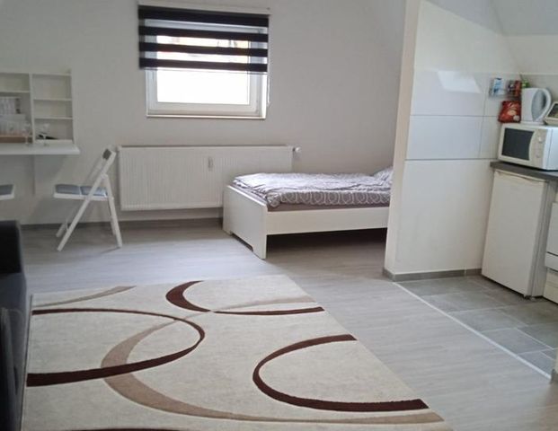 Möblierte 1-Zimmer Wohnung im Zentrum - Photo 1