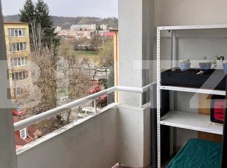 Apartament cu 2 camere, semidecomandat, Pet Friendly, zona Salii Polivalente - Photo 5