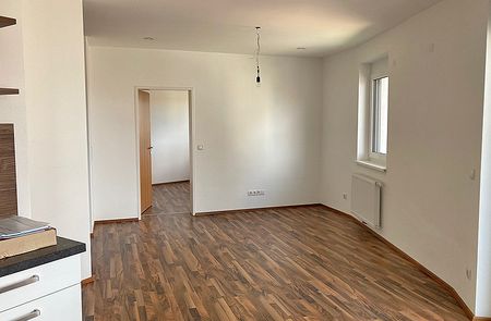 Junges Wohnen in Hoheneich - Foto 2