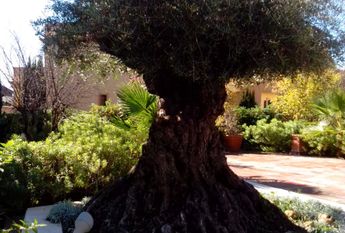 Ref. 35248 Exclusivo apartamento