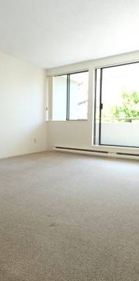 One Bedroom Apartment for Rent Next to Seawall - Photo 1