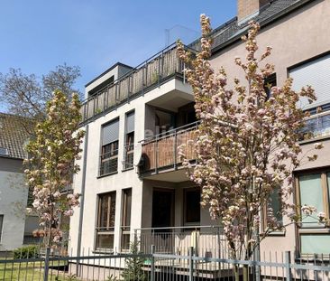 Szczecin, Pogodno - Фото 2