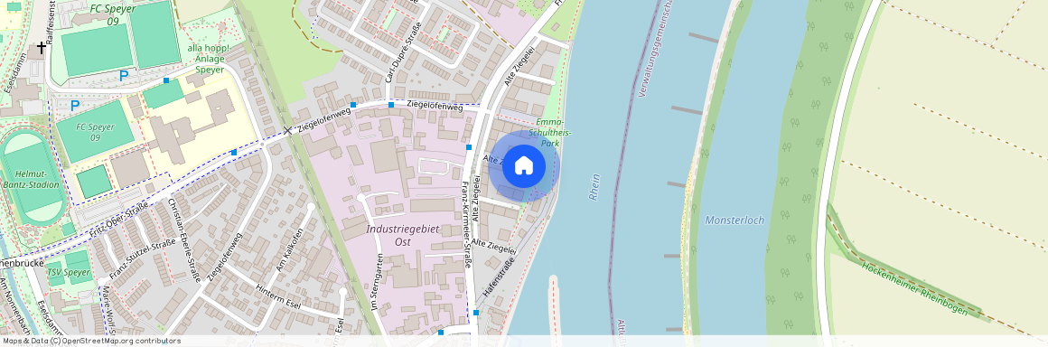 Alte Ziegelei 14, 67346 Speyer