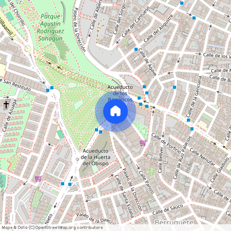 Paseo de la Dirección, Madrid, Community of Madrid 28039