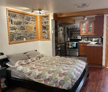 Studio Plateau Mont-Royal Cession de bail Lease transfer Dec 1 - Photo 4