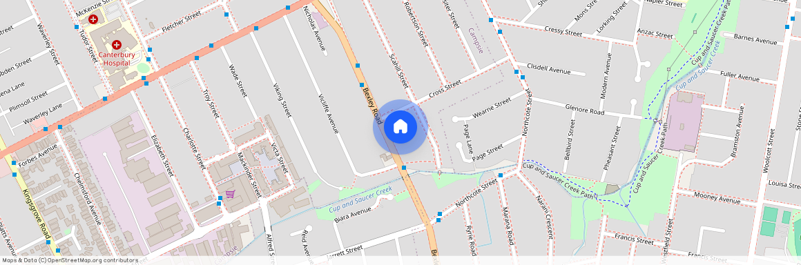 52A Bexley Road, NSW 2194, Campsie