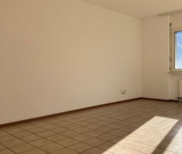 Luminoso 3.5 locali con balcone e parco - Foto 6