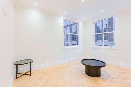 Horseferry Road, SW1P - Photo 4