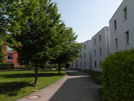 Charmante 2-Zimmer-Wohnung in Wels: Geräumig, zentral und fixem Parkplatz - Photo 5