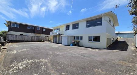 Freshly Updated Four Bedroom Home - Photo 4