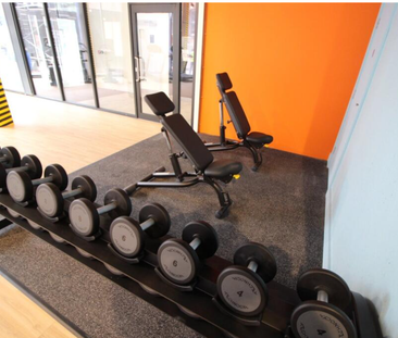 Newton Street - Photo 1 | Rentumo