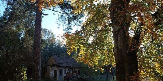 Wunderschöne historische sanierte 4 Raum Wohnung Werdau zu vermieten - Photo 3