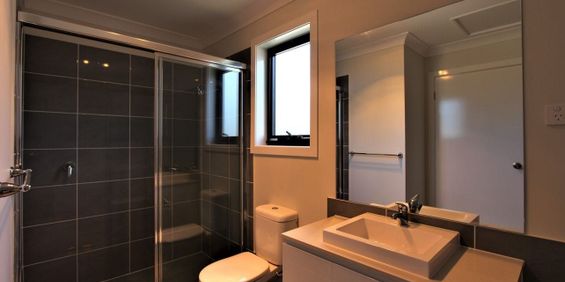 Stylish, Low-Maintenance Home in Prime Austral Location - Photo 3