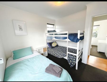 Fully Furnished on Maunganui - Mt Maunganui - Photo 2